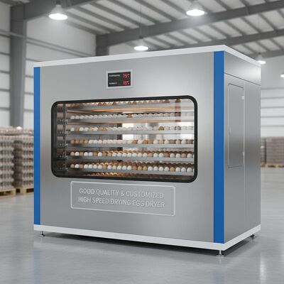 Machine de séchage d'œufs à grande vitesse, de bonne qualité et sur mesure